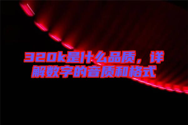 320k是什么品質，詳解數(shù)字的音質和格式
