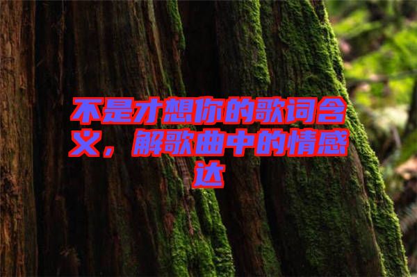 不是才想你的歌詞含義，解歌曲中的情感達(dá)