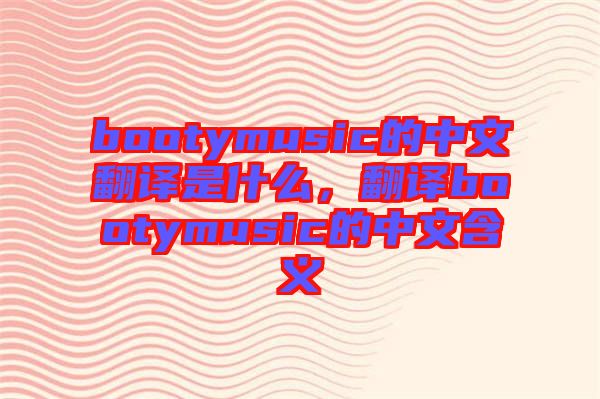 bootymusic的中文翻譯是什么，翻譯bootymusic的中文含義