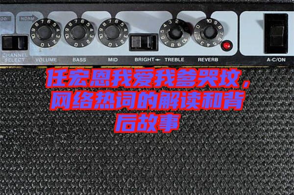 任宏恩我愛我爹哭墳，網(wǎng)絡(luò)熱詞的解讀和背后故事