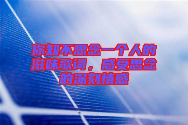 你知不思念一個(gè)人的滋味歌詞，感受思念的深刻情感