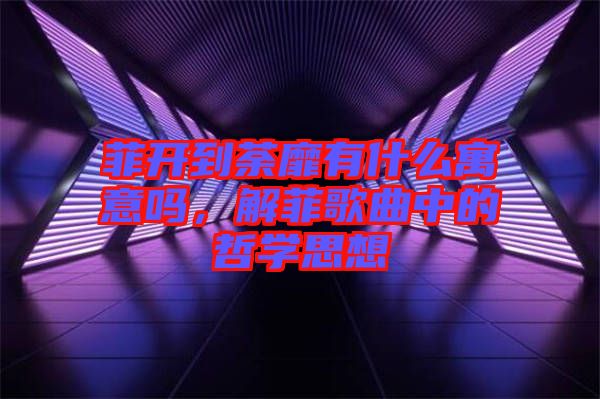 菲開到荼靡有什么寓意嗎，解菲歌曲中的哲學(xué)思想