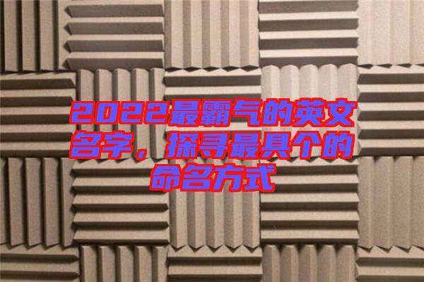 2022最霸氣的英文名字，探尋最具個的命名方式