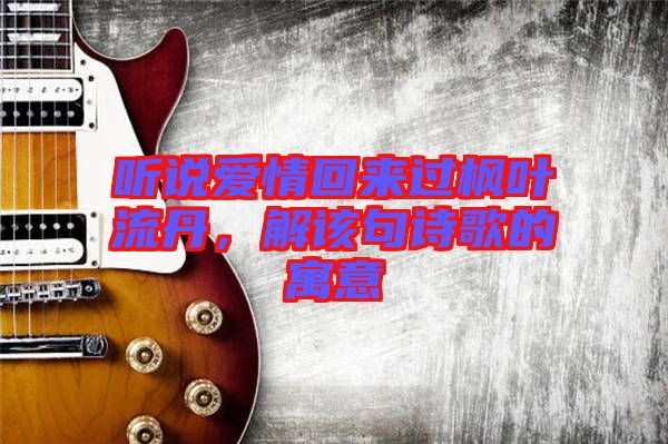 聽說愛情回來過楓葉流丹，解該句詩歌的寓意