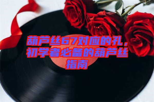 葫蘆絲67對(duì)應(yīng)的孔，初學(xué)者必備的葫蘆絲指南