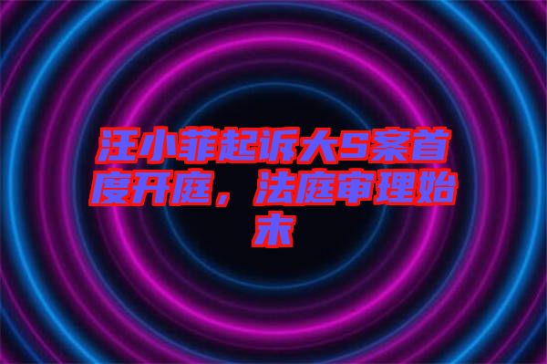 汪小菲起訴大S案首度開庭，法庭審理始末