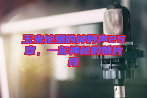 玉米地里的坤吟聲25章，一部神秘的精片段