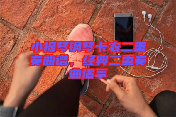 小提琴鋼琴卡農(nóng)二重奏曲譜，經(jīng)典二重奏曲譜享