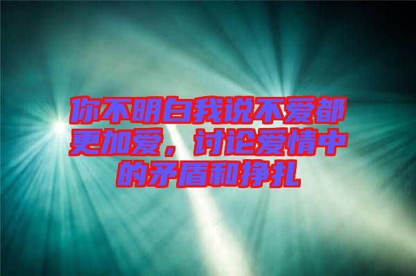 你不明白我說不愛都更加愛，討論愛情中的矛盾和掙扎