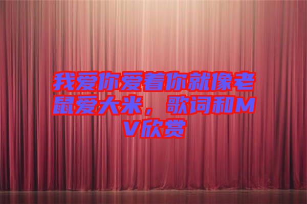我愛你愛著你就像老鼠愛大米，歌詞和MV欣賞