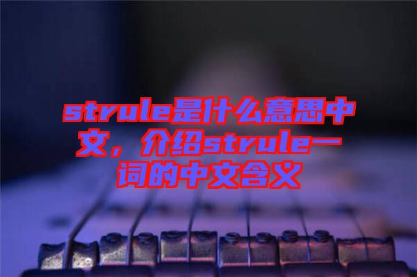 strule是什么意思中文，介紹strule一詞的中文含義
