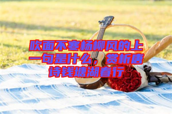 吹面不寒楊柳風的上一句是什么，賞析唐詩錢塘湖春行