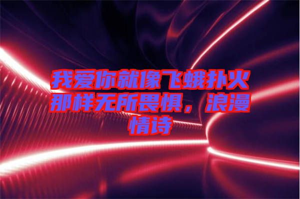 我愛你就像飛蛾撲火那樣無所畏懼，浪漫情詩