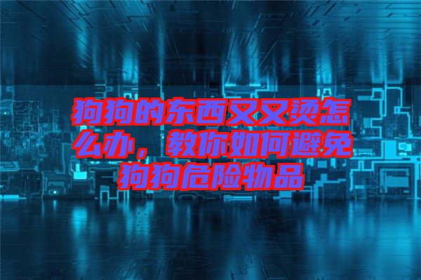 狗狗的東西又又燙怎么辦，教你如何避免狗狗危險物品