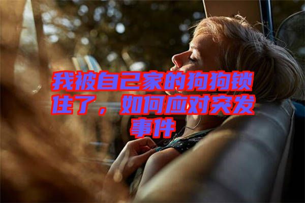 我被自己家的狗狗鎖住了，如何應(yīng)對(duì)突發(fā)事件