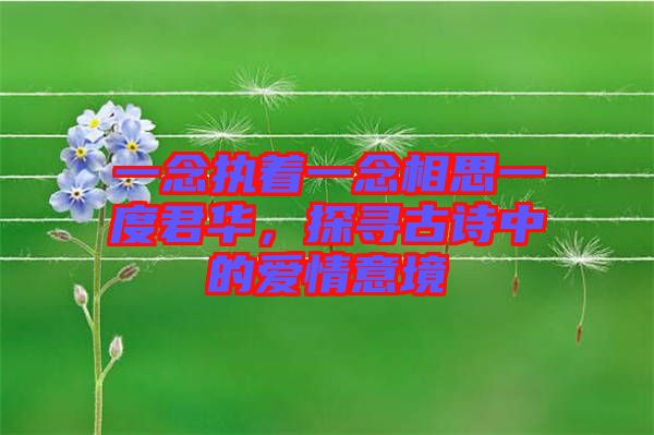 一念執(zhí)著一念相思一度君華，探尋古詩中的愛情意境