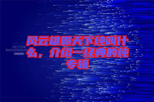風(fēng)云雄霸天下純叫什么，介紹一經(jīng)典的純專輯