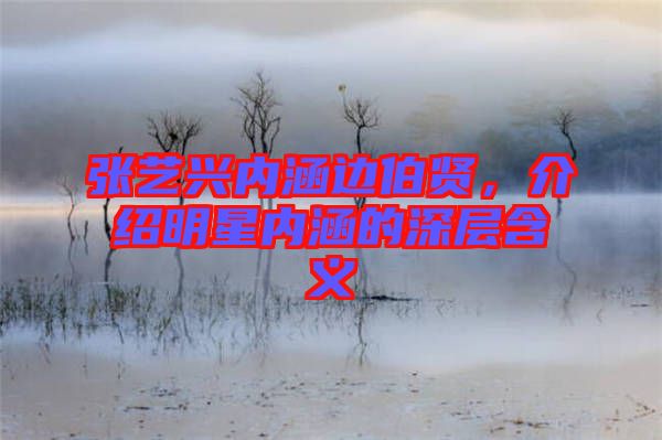 張藝興內(nèi)涵邊伯賢，介紹明星內(nèi)涵的深層含義