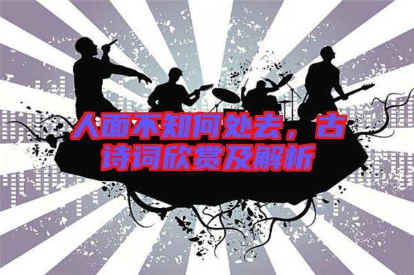 人面不知何處去，古詩詞欣賞及解析