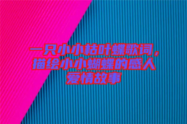 一只小小枯葉蝶歌詞，描繪小小蝴蝶的感人愛情故事
