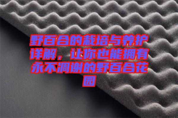 野百合的栽培與養(yǎng)護(hù)詳解，讓你也能擁有永不凋謝的野百合花園
