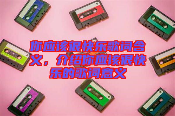 你應(yīng)該很快樂歌詞含義，介紹你應(yīng)該很快樂的歌詞意義