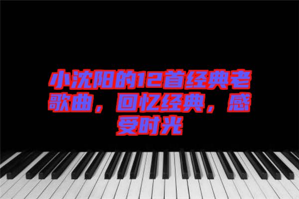 小沈陽的12首經(jīng)典老歌曲，回憶經(jīng)典，感受時光