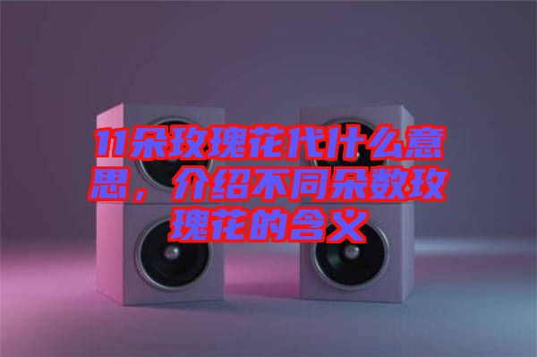 11朵玫瑰花代什么意思，介紹不同朵數(shù)玫瑰花的含義