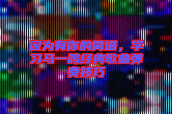 因?yàn)橛心愕暮?jiǎn)譜，學(xué)習(xí)馬一鳴經(jīng)典歌曲彈奏技巧