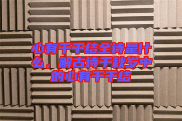 心有千千結(jié)全詩是什么，解古詩千秋歲中的心有千千結(jié)