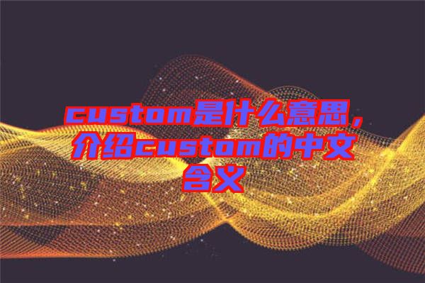 custom是什么意思，介紹custom的中文含義