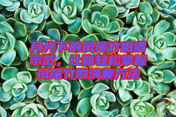月光下的鳳尾竹唱譜示范，讓你輕松掌握鳳尾竹的演奏方法