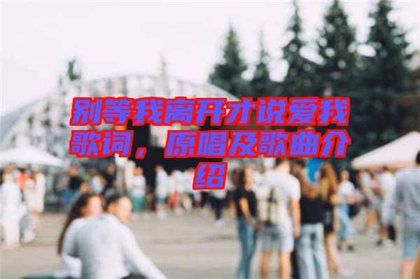 別等我離開才說愛我歌詞，原唱及歌曲介紹