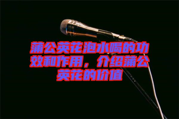 蒲公英花泡水喝的功效和作用，介紹蒲公英花的價值