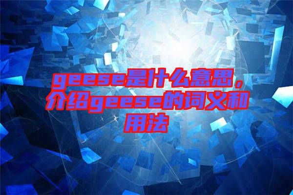 geese是什么意思，介紹geese的詞義和用法