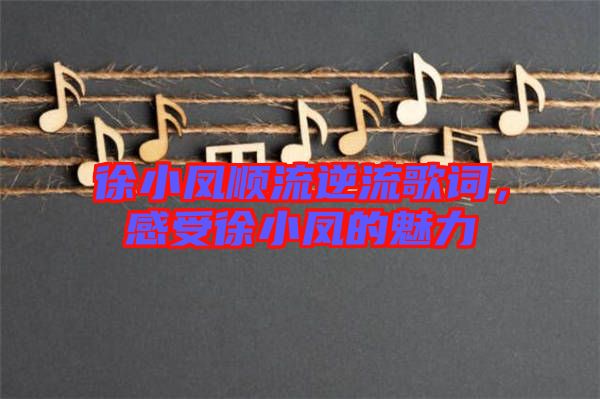 徐小鳳順流逆流歌詞，感受徐小鳳的魅力