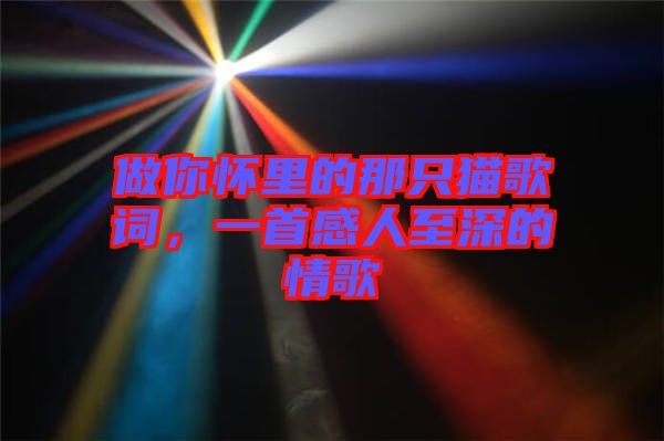 做你懷里的那只貓歌詞，一首感人至深的情歌