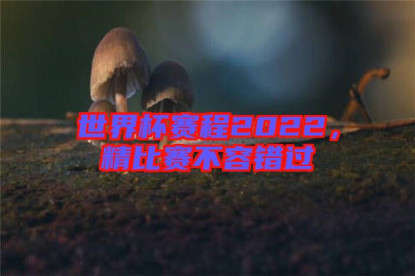 世界杯賽程2022，精比賽不容錯(cuò)過