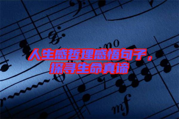 人生感哲理感悟句子，探尋生命真諦