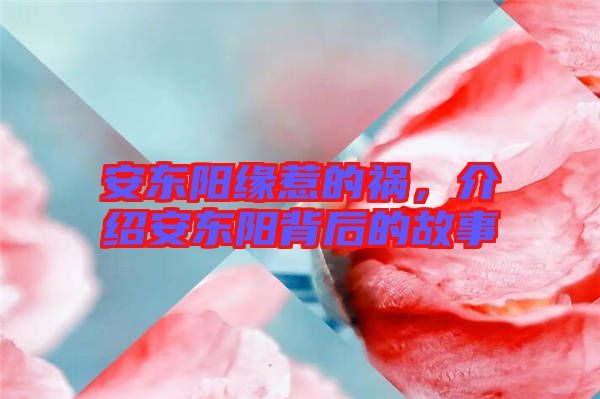 安東陽緣惹的禍，介紹安東陽背后的故事