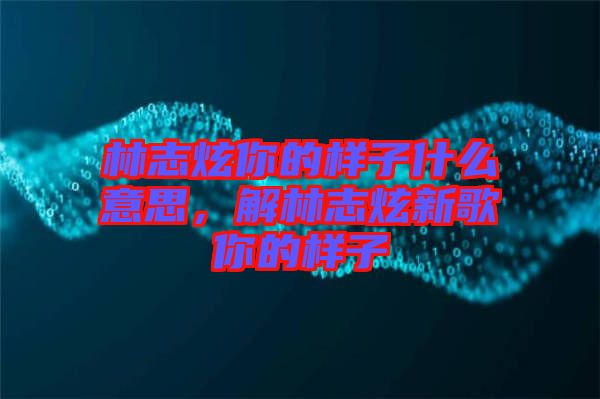 林志炫你的樣子什么意思，解林志炫新歌你的樣子