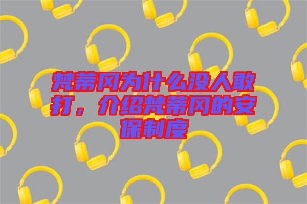梵蒂岡為什么沒人敢打，介紹梵蒂岡的安保制度