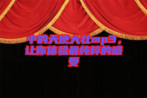 中的天使大壯mp3，讓你體驗最純粹的感受