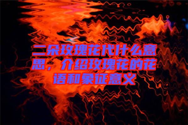 二朵玫瑰花代什么意思，介紹玫瑰花的花語(yǔ)和象征意義