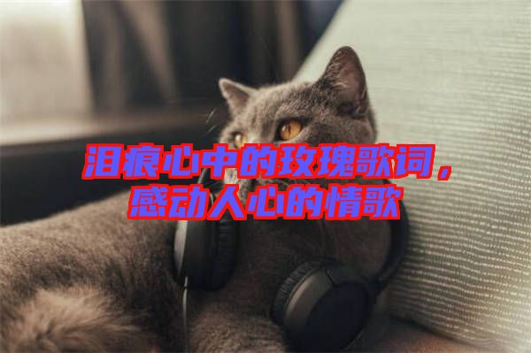 淚痕心中的玫瑰歌詞，感動人心的情歌