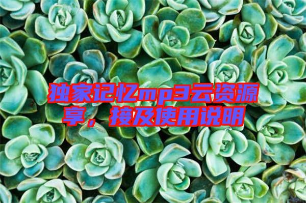 獨(dú)家記憶mp3云資源享，接及使用說(shuō)明