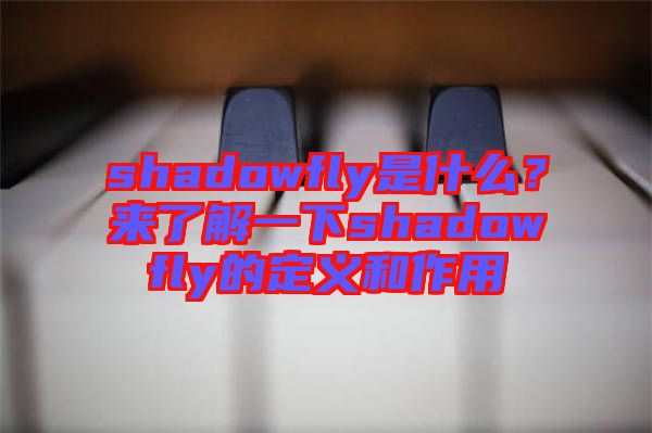 shadowfly是什么？來了解一下shadowfly的定義和作用