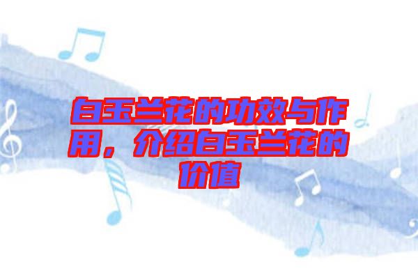 白玉蘭花的功效與作用，介紹白玉蘭花的價(jià)值