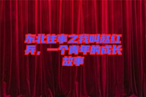 東北往事之我叫趙紅兵，一個(gè)青年的成長(zhǎng)故事