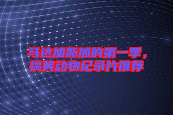 馬達(dá)加斯加的第一季，搞笑動(dòng)物紀(jì)錄片推薦